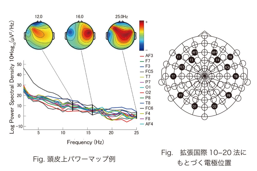 頭皮上パワーマップ例