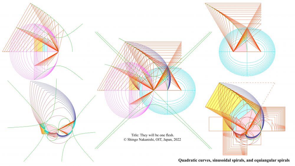 放物線、双曲線、楕円と等角螺旋の関係図