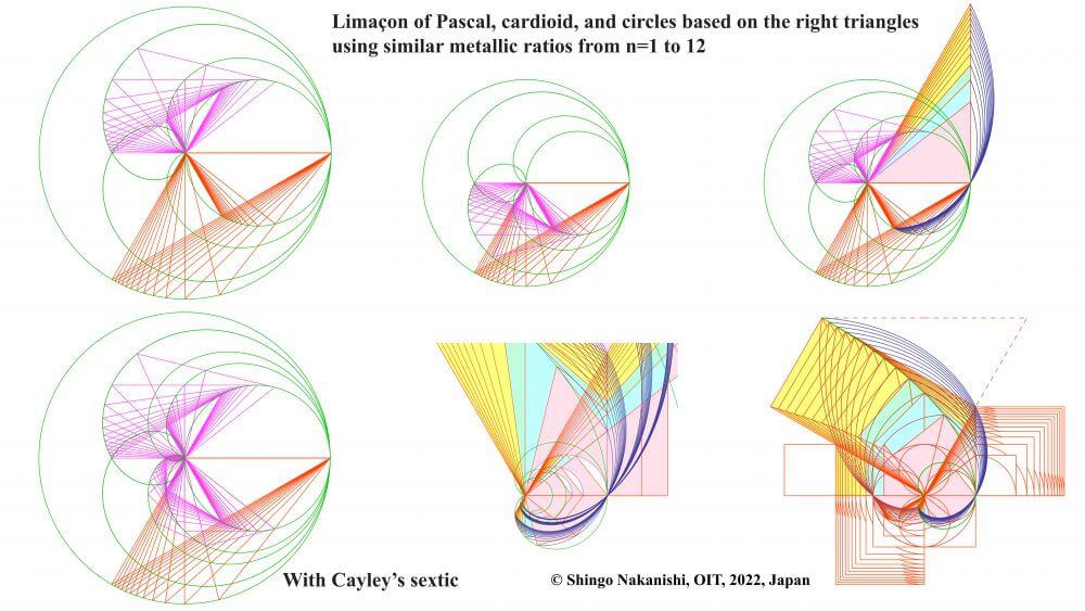 パスカルの蝸牛形と直角三角形1